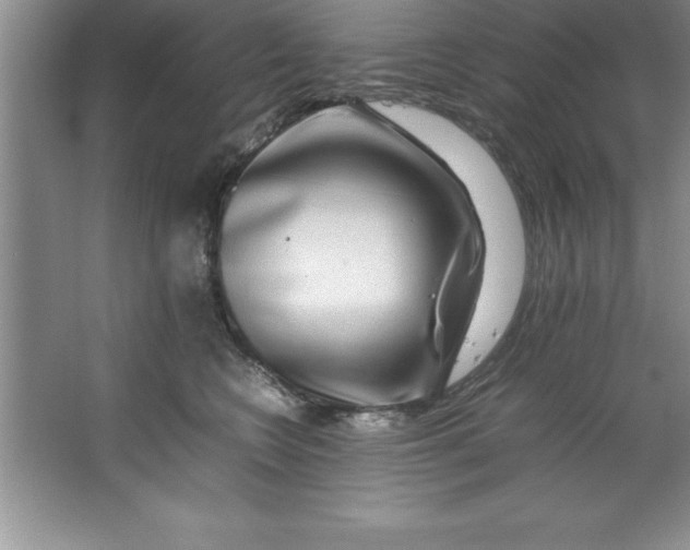 X0000067360566200604212031