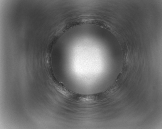 X0000067360567200604212031