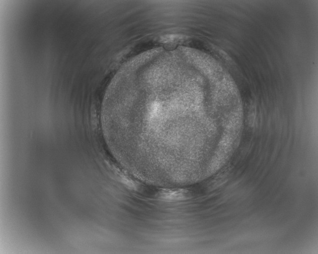 X0000067360569200604212031