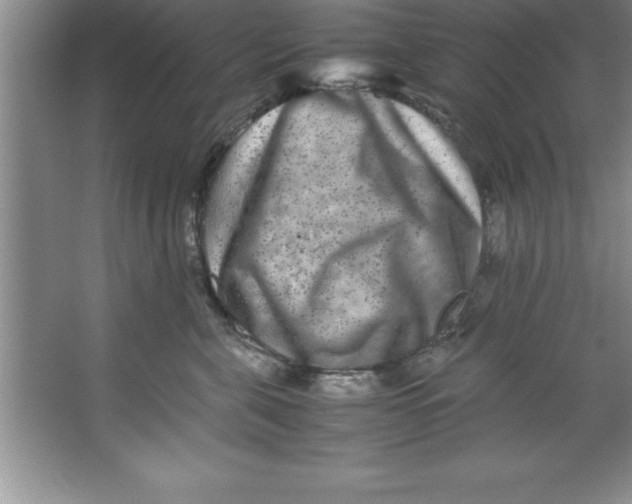 X0000067360571200604212031