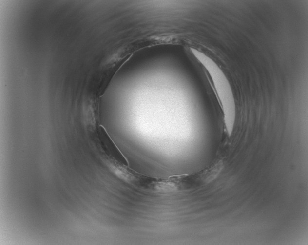X0000067360572200604212031