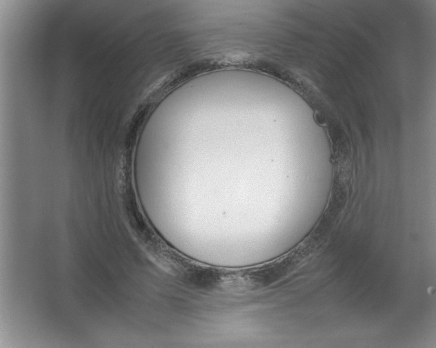 X0000067360591200604212030