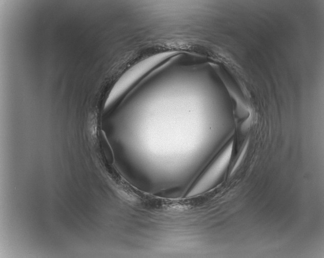 X0000067360593200604212030