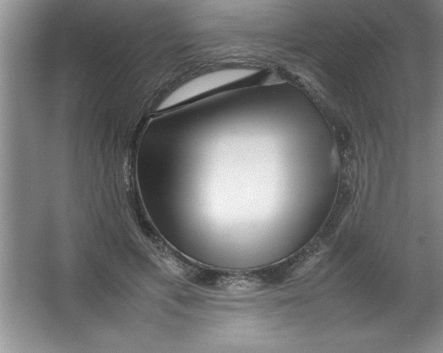 X0000067360597200604212030