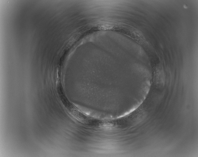 X0000067360598200604212030