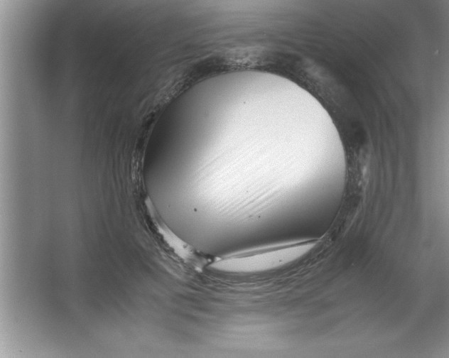 X0000067360601200604212029