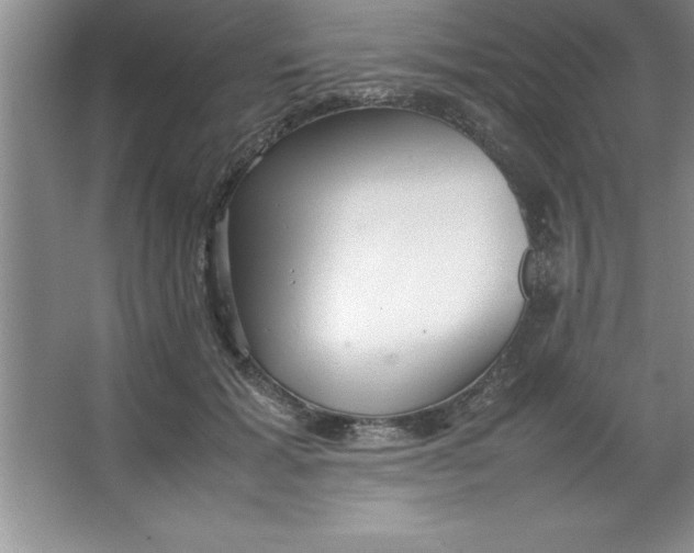 X0000067360605200604212029
