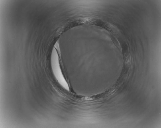 X0000067360607200604212029
