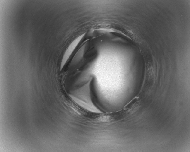 X0000067360609200604212029