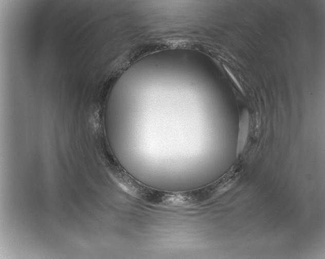 X0000067360611200604212029