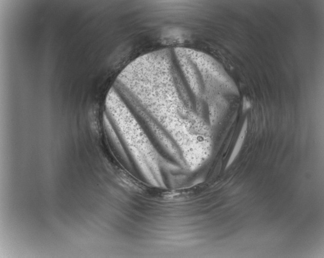 X0000067360616200604212029