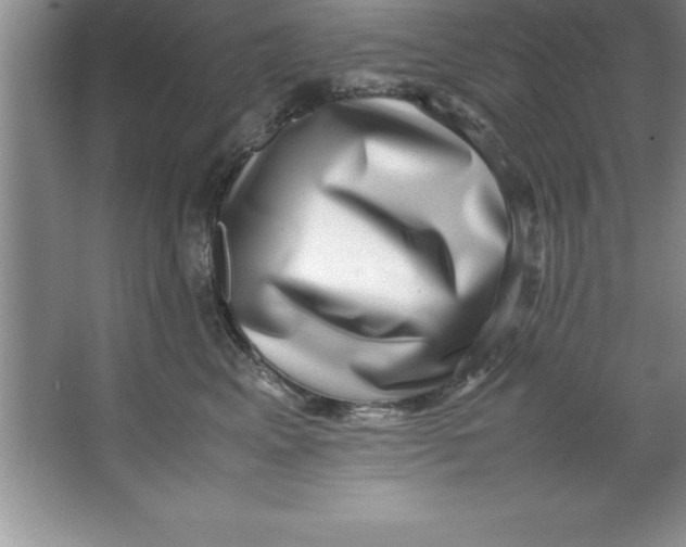 X0000067360617200604212029