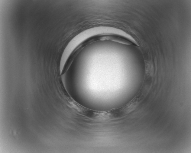 X0000067360621200604212029
