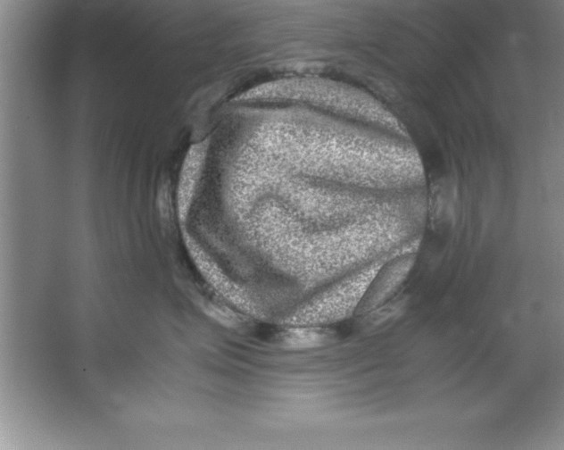 X0000067360623200604212029
