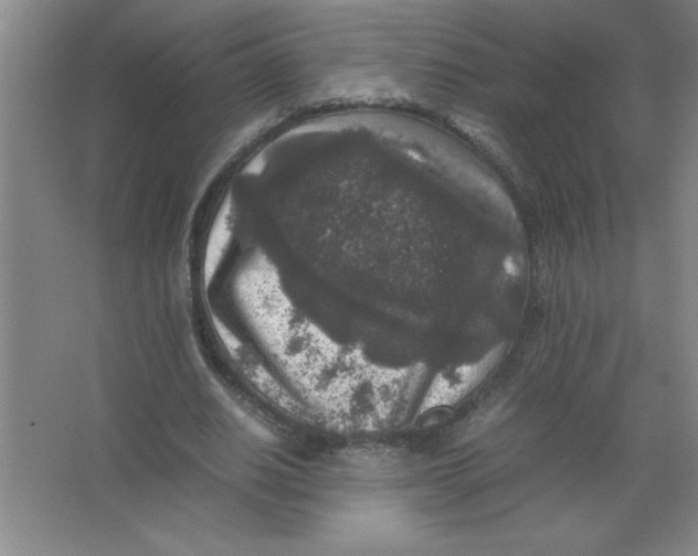 X0000067360630200604212028