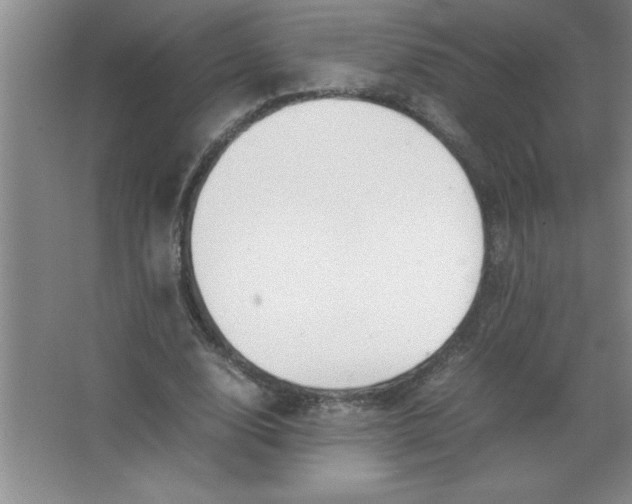 X0000067360632200604212028