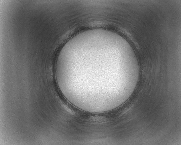 X0000067360633200604212028