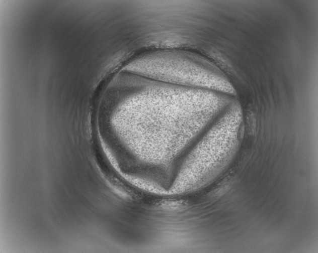 X0000067360638200604212029