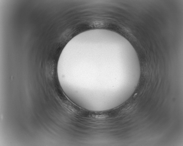 X0000067360645200604212029