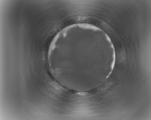 X0000067360654200604212029