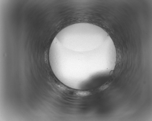 X0000067360659200604212029