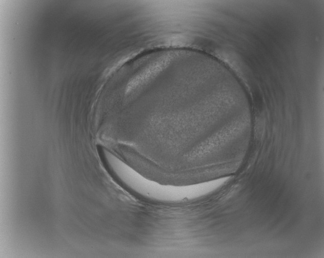 X0000067360673200604212028