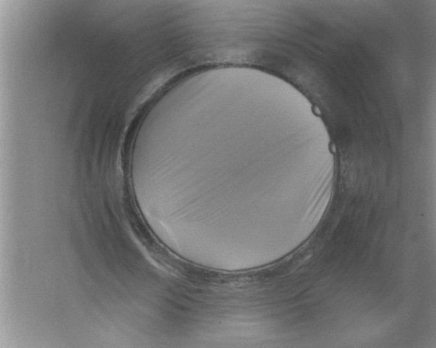 X0000067360674200604212028