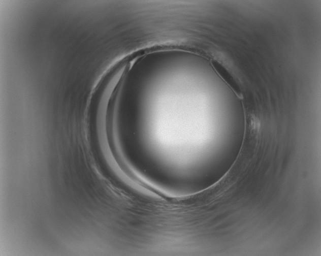 X0000067360676200604212028