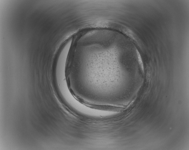 X0000067360677200604212028