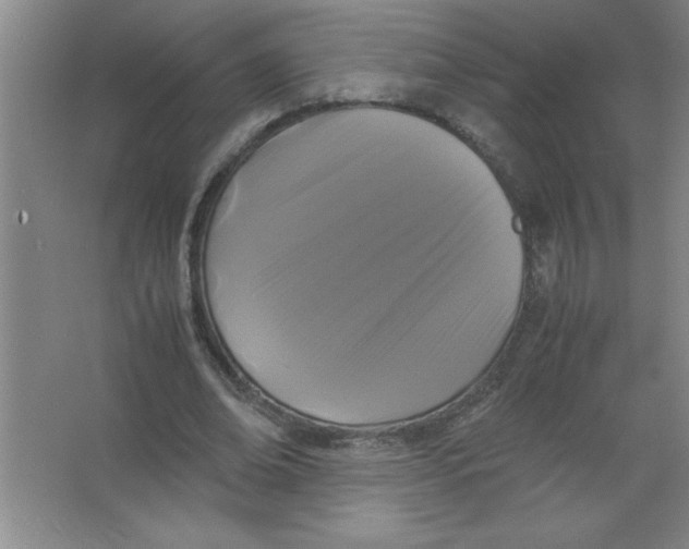 X0000067360678200604212028