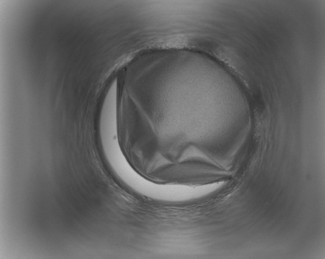 X0000067360681200604212028