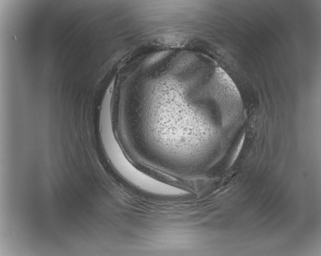 X0000067360693200604212028