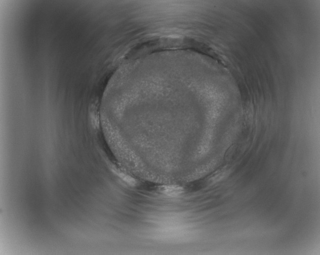 X0000067360719200604212028
