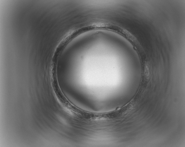 X0000067360730200604212027
