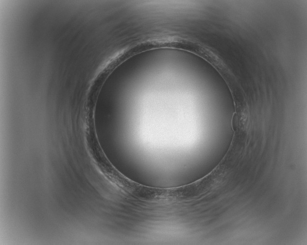 X0000067360732200604212027