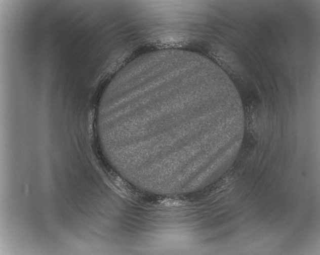 X0000067360742200604212027