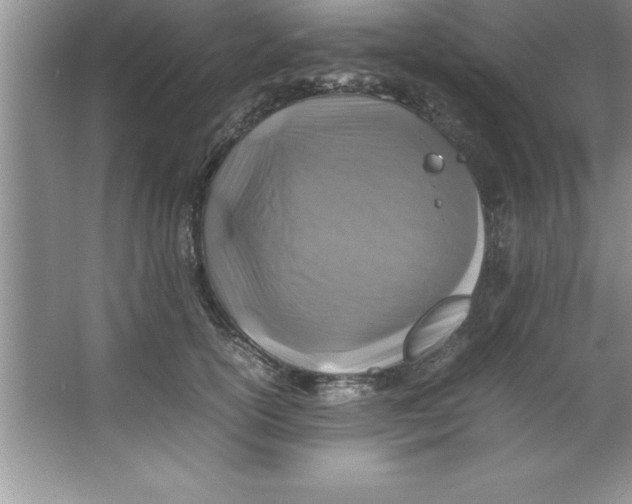 X0000067360754200604212027