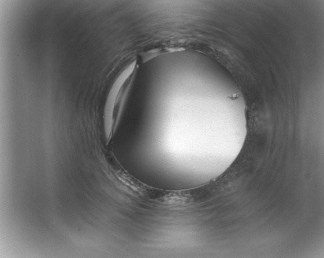 X0000067360756200604212027