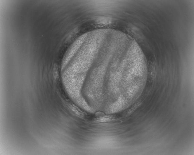 X0000067360758200604212027