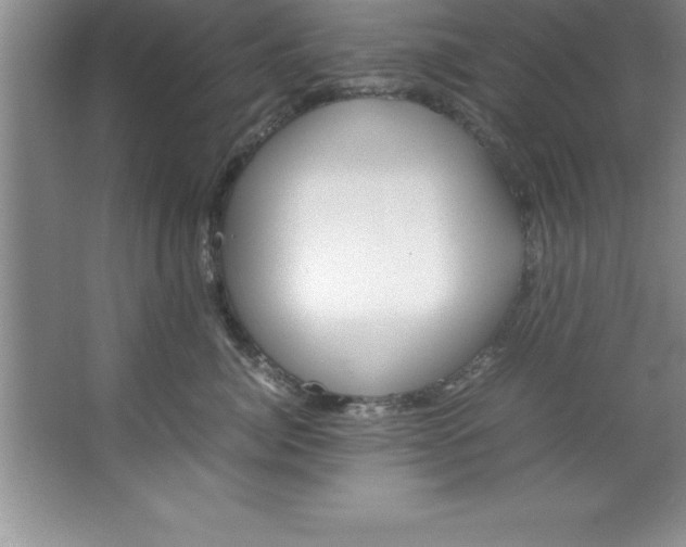 X0000067360764200604212027