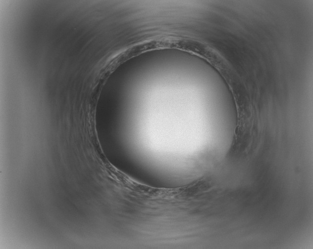X0000067360773200604212027