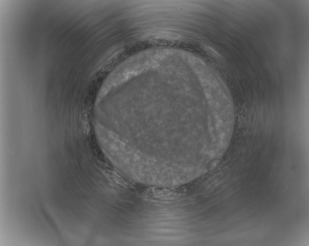 X0000067360774200604212027