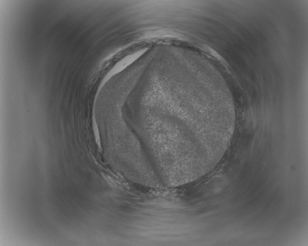 X0000067360775200604212027