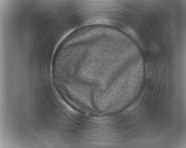 X0000067360780200604212026
