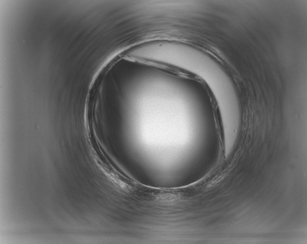 X0000067360788200604212026