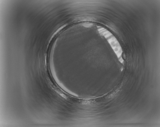 X0000067360790200604212026