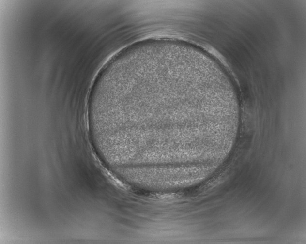 X0000067360791200604212026
