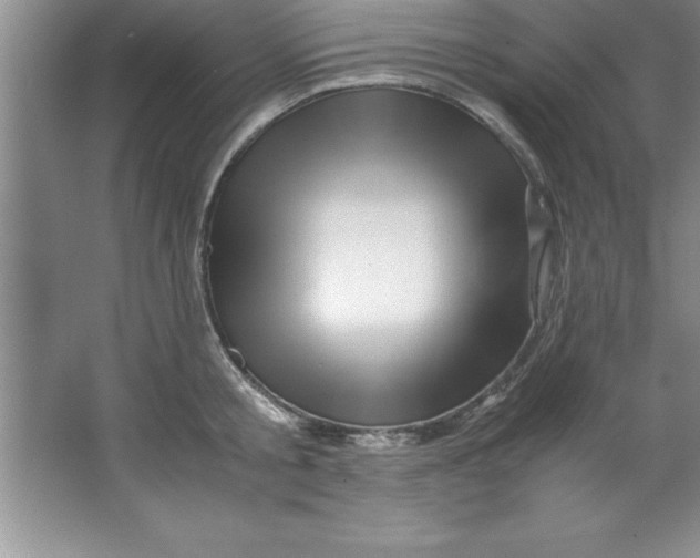 X0000067360805200604212026
