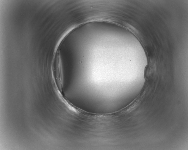 X0000067360812200604212026