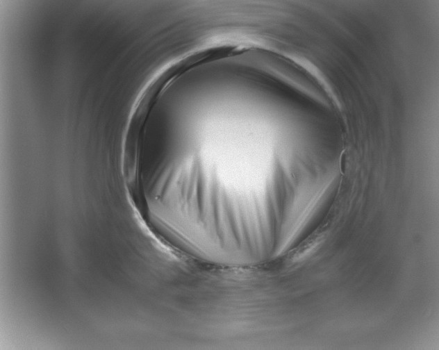 X0000067360815200604212026